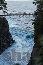 浙江东阳大象传媒有限公司-浙江东阳大象传媒，文化创意的璀璨明珠